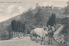italy-assisi-view-of-the-castle-to-the-north-23-01755