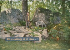 sweden-eringsboda-blomstergarden-smalanningen-21-01853