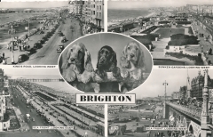 great-britain-brighton-multiview-23-01202
