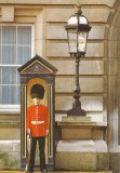 great-britain-london-buckingham-palace-guard-at-21-00105