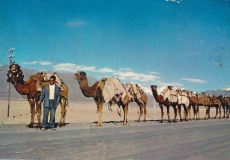 iran-esfahan-camel-caravan-18-1709