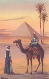 egypt-giza-camel-driver-21-00431