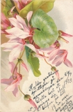 gratulation-blommor-23-00133