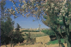 israel-jerusalem-old-city-18-2167