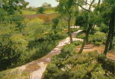 israel-jerusalem-the-garden-tomb-2935