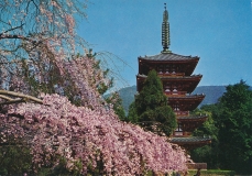 japan-kyoto-daigoji-temple-18-0613