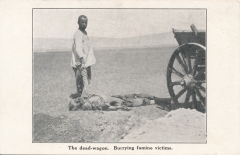 usa-new-york-the-dead-wagon-22-02242