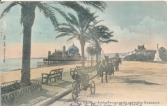 france-nice-pier-promenade-with-palm-trees-23-01244