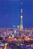 japan-tokyo-sensoji-night-sky-21-01795