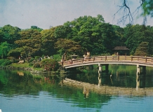 japan-tokyo-shinjuku-imperial-gardens-18-2553