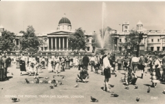 great-britain-london-trafalgar-square-feeding-the-pigeons-18-2661