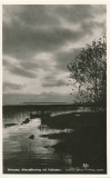 sweden-varnamo-vidostern-23-00463