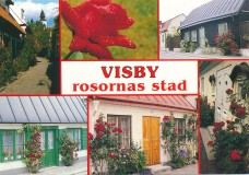sweden-visby-rosornas-stad-multiview-21-01471
