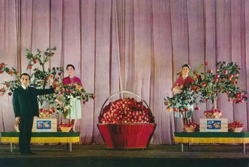Pyongyang - Circus Conjuring Trick - North Korea