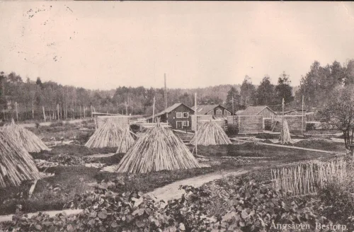 Bestorp - Ångsagen - Sverige
