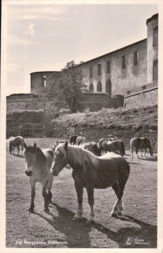 Borgholm - Slottsruinen - Sverige