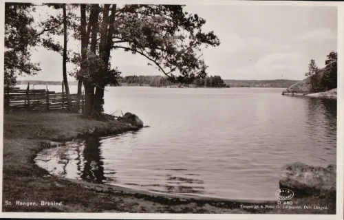 Brokind - Stora Rängen - Sverige