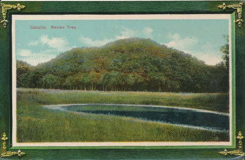 Kolkata - Banian Tree - Indien