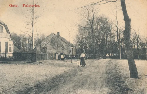 Falsterbo - Gata - Sverige