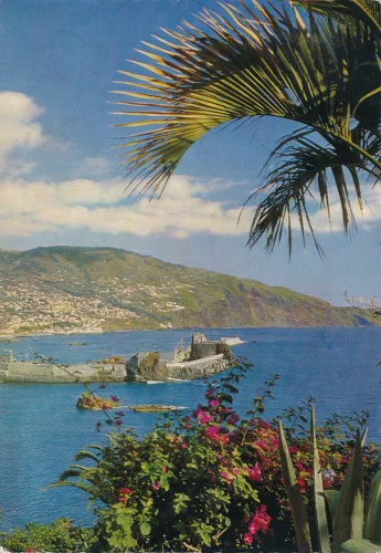 Funchal - Funchal Bay - Portugal