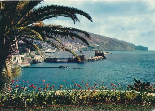 Funchal - Funchal Eastern View - Portugal