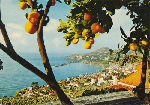 Funchal - Western View - Portugal