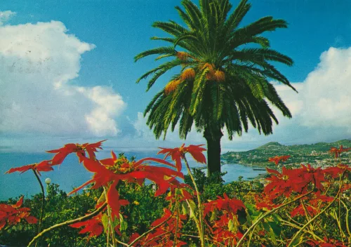 Funchal - Western View - Portugal