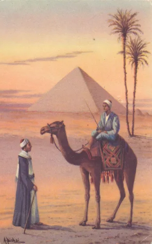 Giza - Camel Driver - Egypten