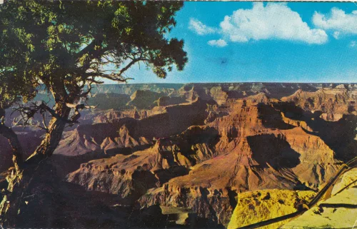 Grand Canyon - Grand Canyon - USA