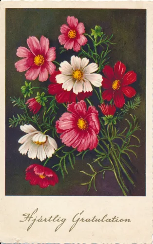 Gratulation Blommor