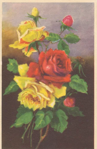Gratulation Blommor