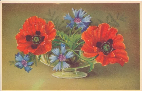 Gratulation Blommor