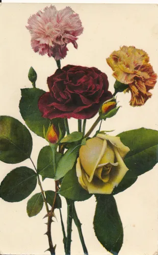 Gratulation Blommor