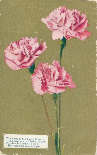 Gratulationer Blommor