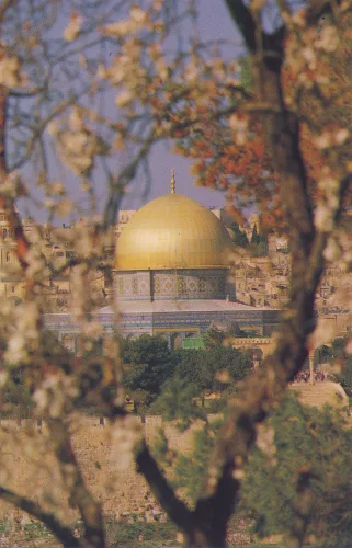 Jerusalem - Dome Of The Rock - Israel