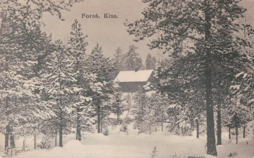 Kisa - Forså - Sverige