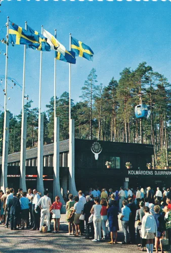 Kolmården - Kolmårdens Djurpark Huvudentre Och Kontor - Sverige