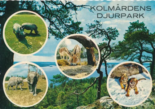 Kolmården - Kolmårdens Djurpark Multiview - Sverige