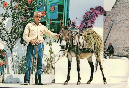 Kreta - Man With Donkey - Grekland