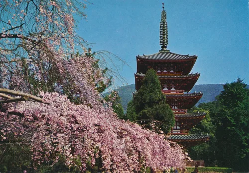 Kyoto - Daigoji Temple - Japan