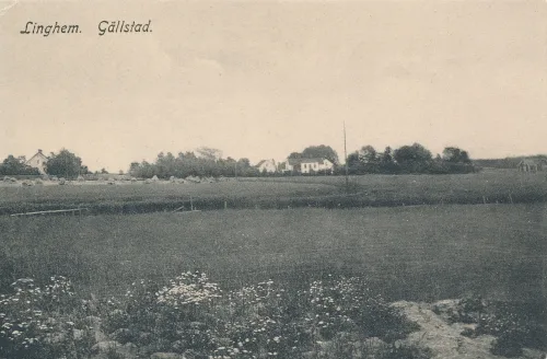 Linghem - Gällstad - Sverige