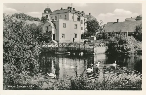 Mjölby - Svanar I Ån - Sverige