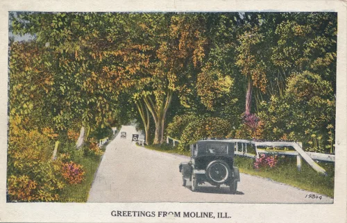Moline - Greetings From - Usa