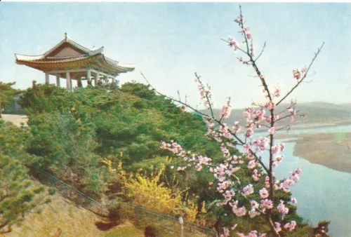 Pyongyang - Spring On Mangyong Bong Hill - Nordkorea