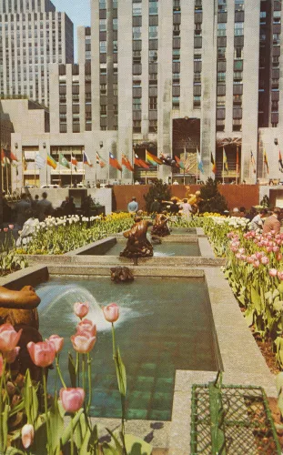 New York City - Rockefeller Center Channel Gardens - Usa