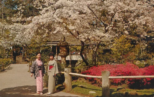 San Francisco - Golden Gate Park Japanese Tea Garden - Usa