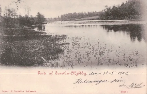 Mjölby - Parti Av Svartån - Sverige
