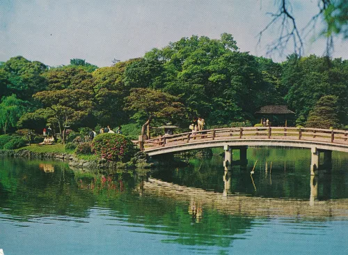 Tokyo - Shinjuku Imperial Gardens - Japan