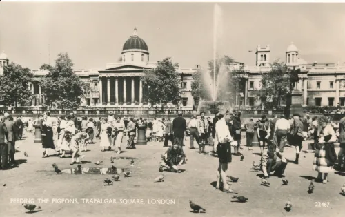 London - Trafalgar Square Feeding The Pigeons - Storbritannien